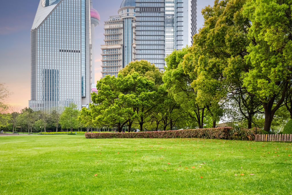 city park with modern building